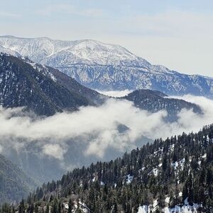 Meet your Posher, Guadalupe